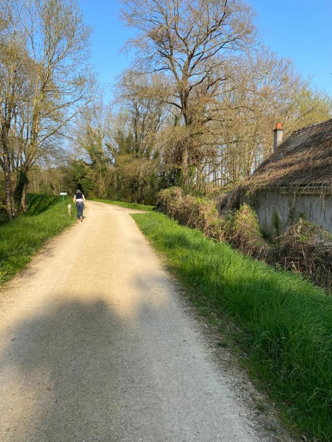 Studio Indre Climatise, La Halte De Cuze, Aux Abords De La Loire A Velo Huismes Zewnętrze zdjęcie