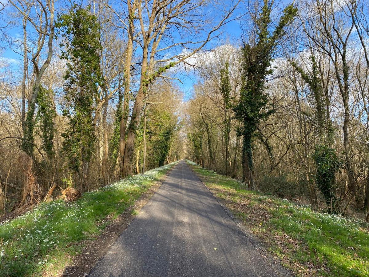Studio Indre Climatise, La Halte De Cuze, Aux Abords De La Loire A Velo Huismes Zewnętrze zdjęcie